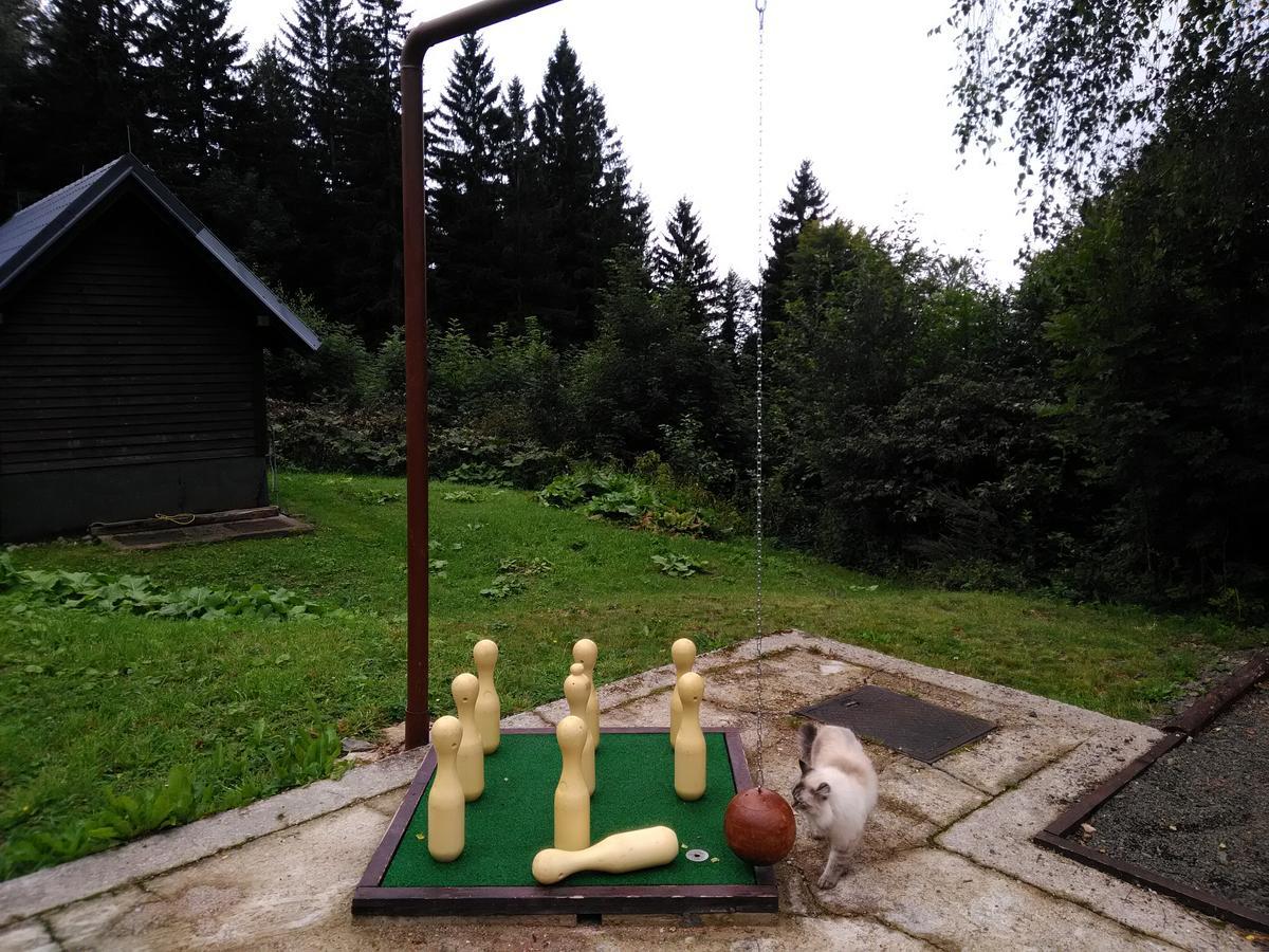 Horska Chata Svetlanka Rokytnice nad Jizerou Extérieur photo